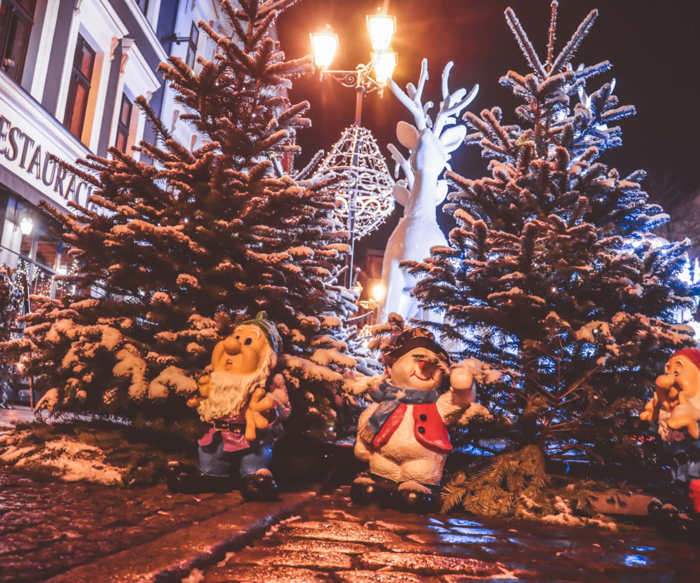 Toruń gotowy na święta Bożego Narodzenia. Cudowny klimat wypełnił starówkę