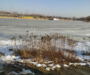 Mimo dodatnich temperatur spacerują po lodzie. Sprawa dzieli mieszkańców Białołęki