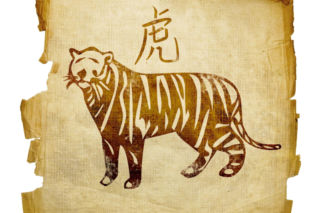 Nowy rok chiński - horoskop od znanej wróżki