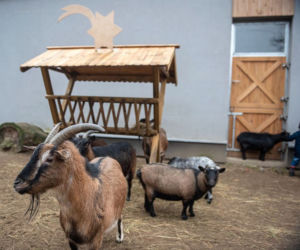 Wybierz najpiękniej rozświetlone miasto w Polsce! Do wygrania sprzęt o wartości 200 tys. złotych. Kliknij tutaj! 