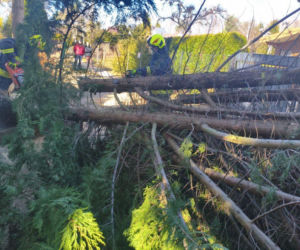 Zerwane dachy, powalone drzewa i prawie 11 tysięcy odbiorców bez prądu!