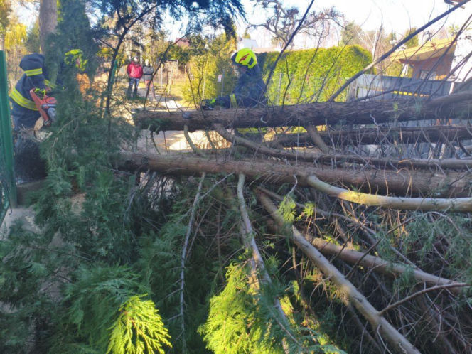 Zerwane dachy, powalone drzewa i prawie 11 tysięcy odbiorców bez prądu!