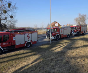 Okoliczności wypadku wyjaśnia policja