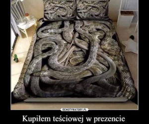 Tych memów o teściowych nie pokażesz mamie! Internauci nie mają litości