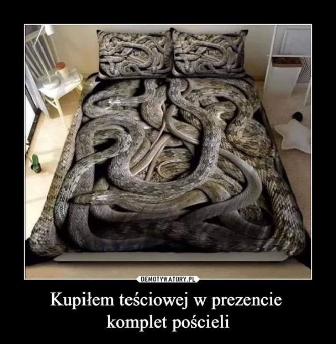 Tych memów o teściowych nie pokażesz mamie! Internauci nie mają litości