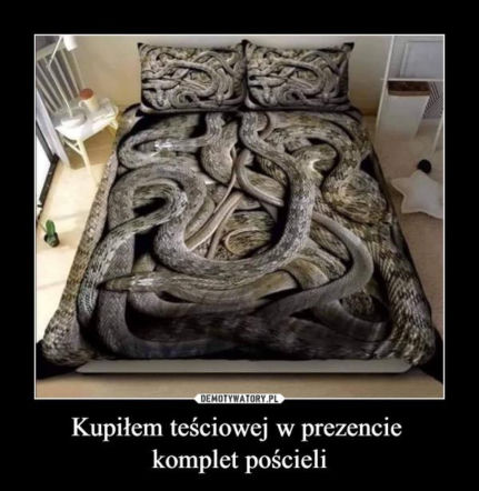 Tych memów o teściowych nie pokażesz mamie! Internauci nie mają litości