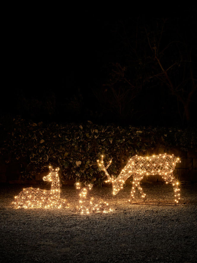 Świąteczne oświetlenie ogrodu