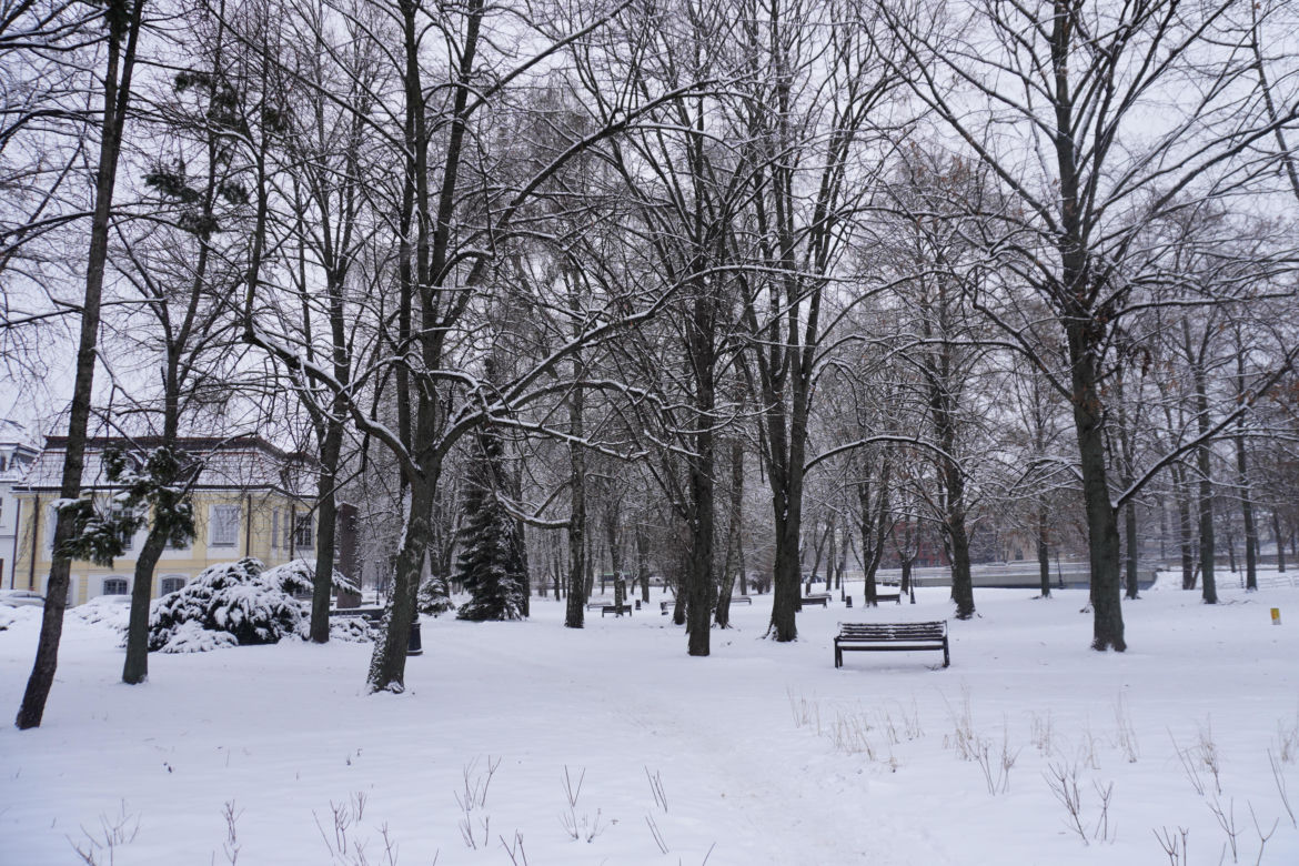 Białystok pod śniegiem. Tak prezentuje się zasypana stolica Podlasia