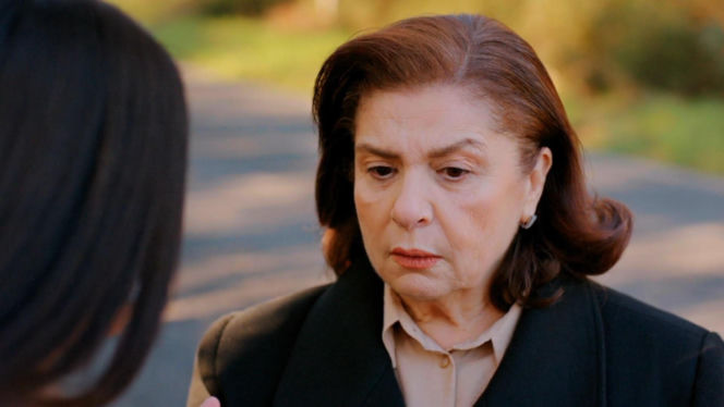 Miłość i nadzieja, odc. 376. Bahar, Naciye