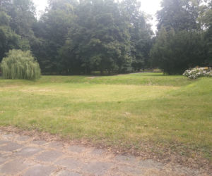 Park przy Dąbrowskiego w Rzeszowie