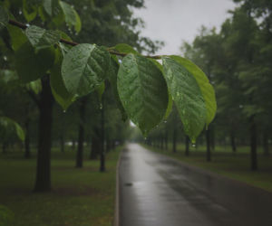 Pogodowa huśtawka nadciąga nad Olsztyn. Będzie upał, ale zaraz potem przyjdzie deszcz i chłód!