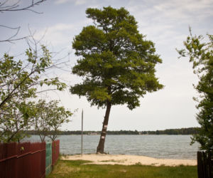 Jezioro Białe, Okuninka