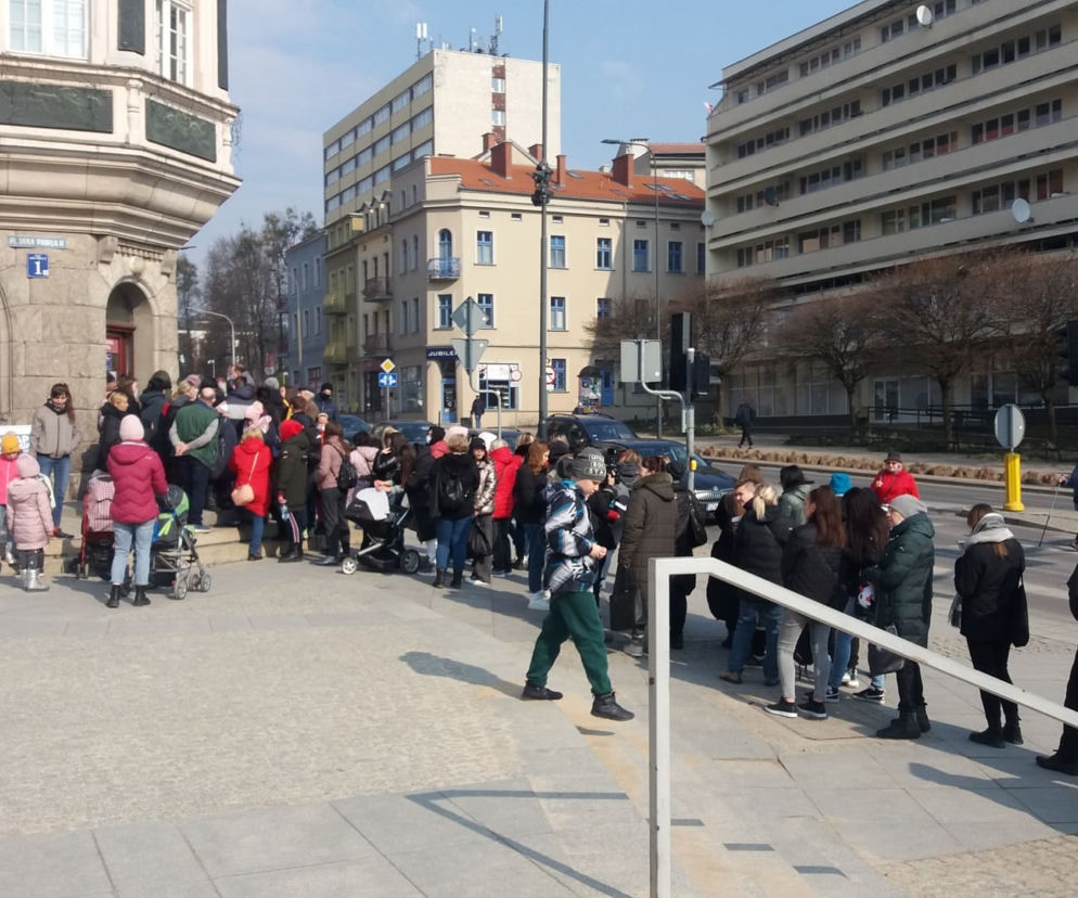 Pierwsze dni wniosków o PESEL