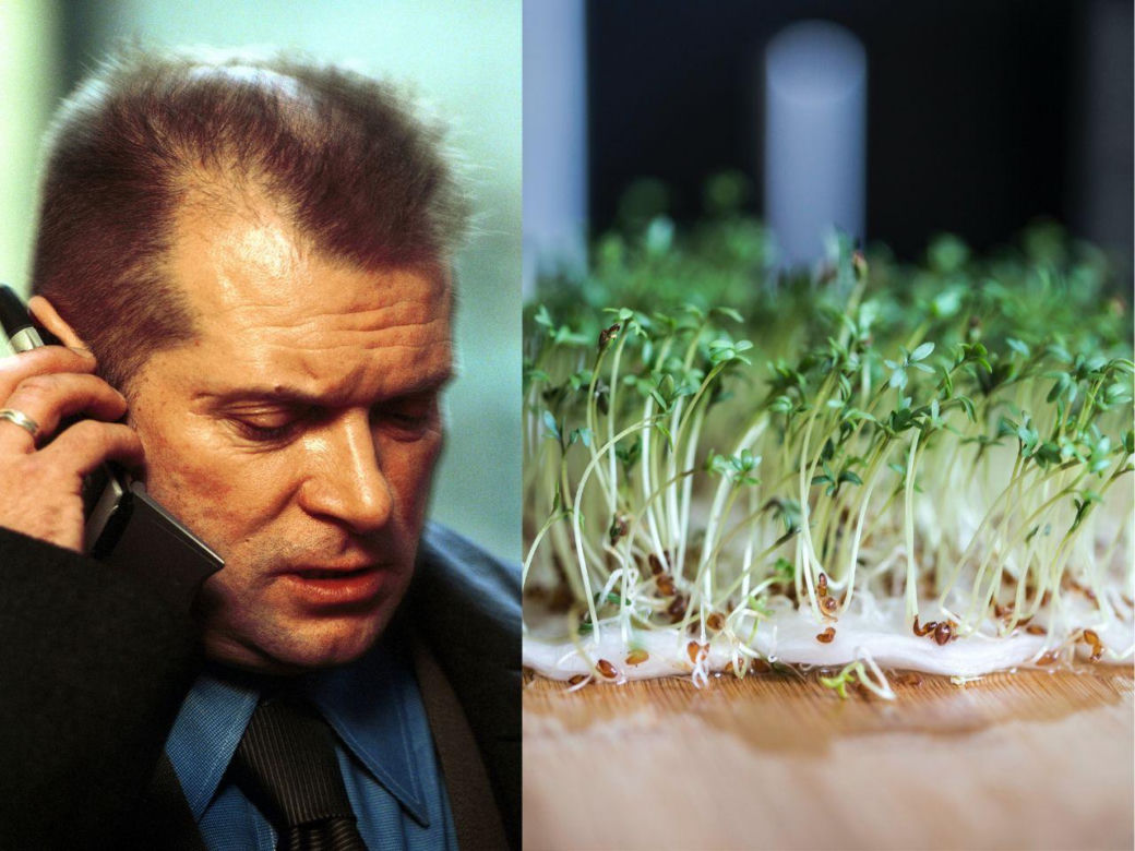 Rzeżuchy które wyglądają jak Krzysztof Rutkowski i jego legendarne fryzury