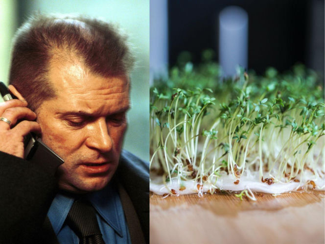 Rzeżuchy które wyglądają jak Krzysztof Rutkowski i jego legendarne fryzury