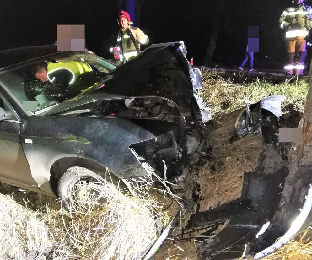 Koszmarny wypadek w Pomorskiem. Z pełną prędkością wbił się w drzewo! Co ustaliła policja?