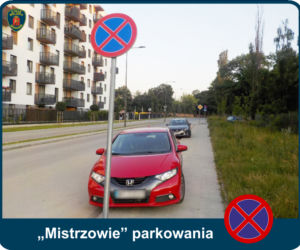 Mistrzowie parkowania. Tak kierowcy parkują w Warszawie