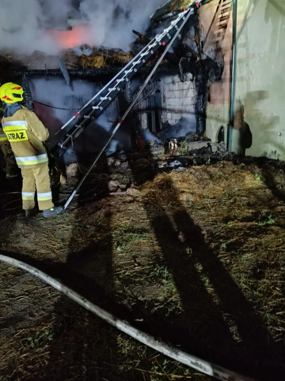 Tragiczny pożar w Przemyślu. Strażacy znaleźli sześć martwych koni