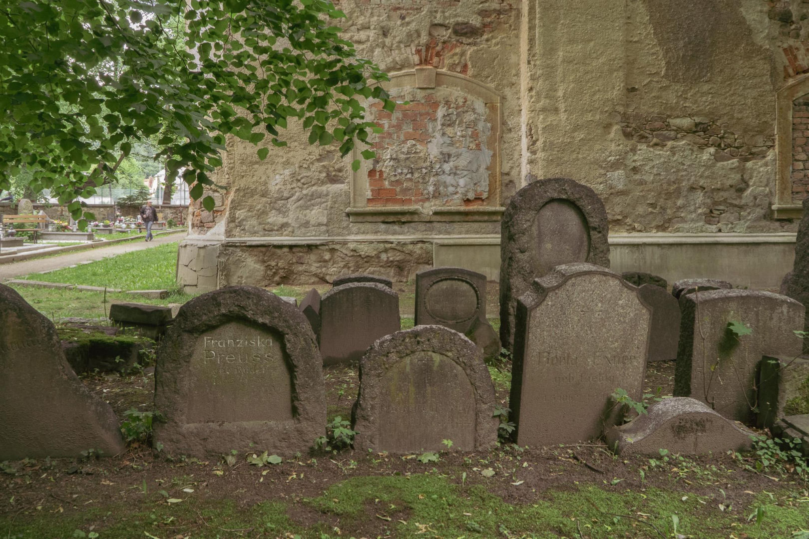 Ruiny kościoła ewangelickiego w Miłkowie na Dolnym Śląsku