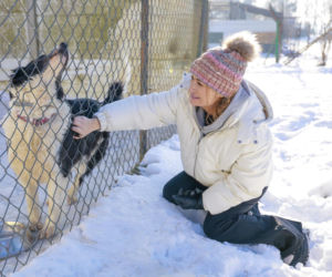 Marta Krupa z pomocą dla zwierząt. Nakarmiła psy i koty w potrzebie