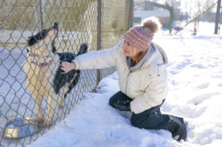 Marta Krupa z pomocą dla zwierząt. Nakarmiła psy i koty w potrzebie