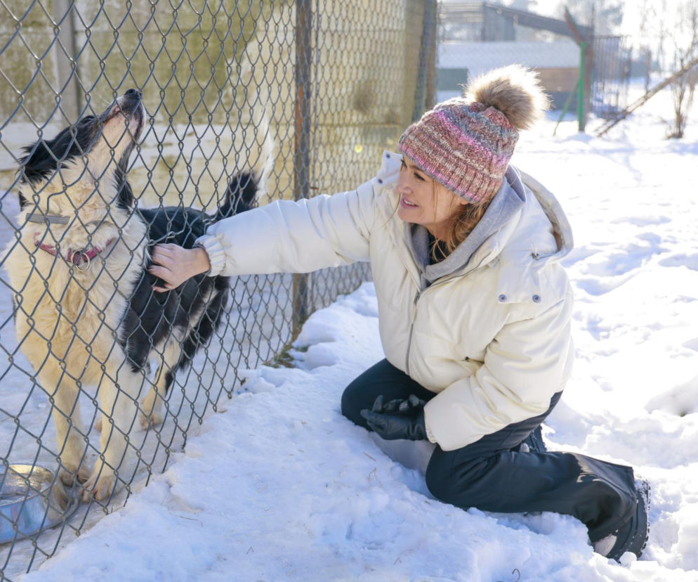 Marta Krupa z pomocą dla zwierząt. Nakarmiła psy i koty w potrzebie
