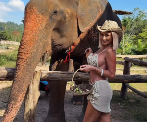 Gwiazdy witają nowy rok w bikini