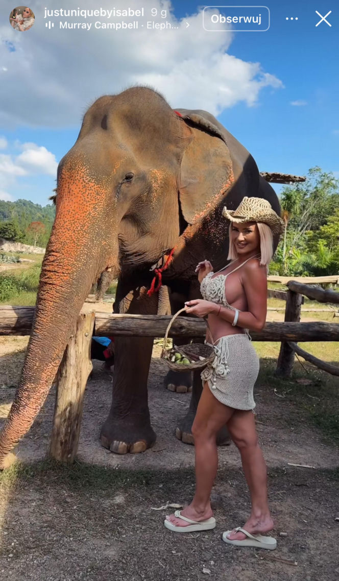 Gwiazdy witają nowy rok w bikini