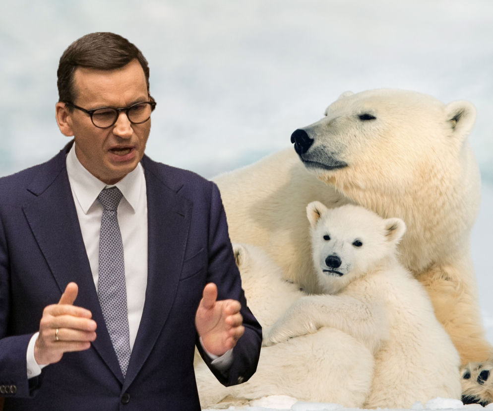  Morawiecki powołał zespół ds. polityki polarnej