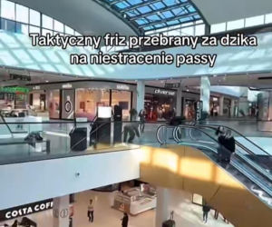 Friz przebrany za dzika