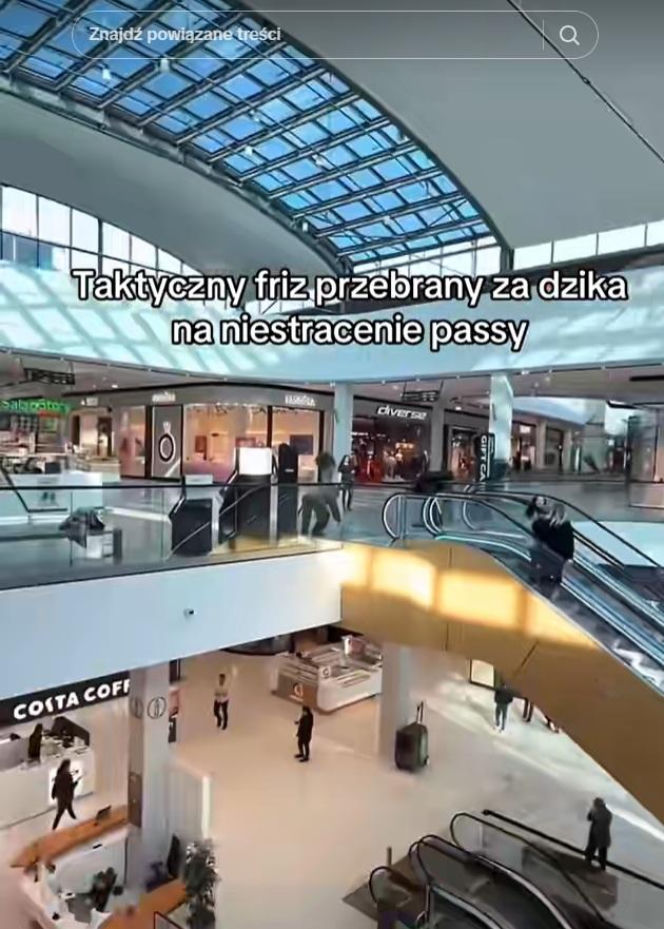 Friz przebrany za dzika