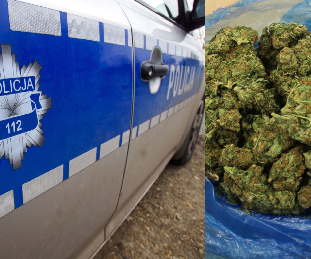 Marihuana