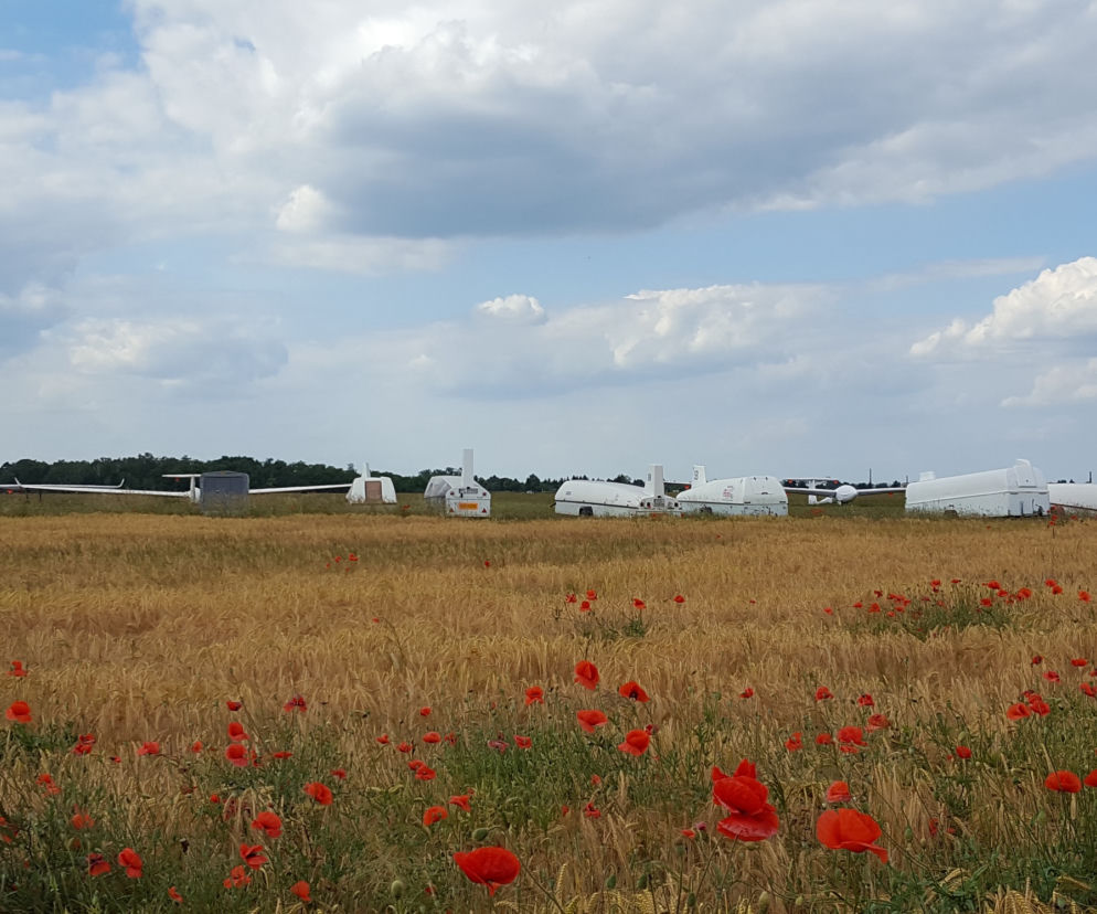 ​Nie ma zawodów, nie ma imprez, ale są szybowce. Dużo ich na lotnisku w Lesznie