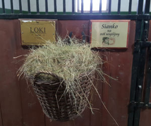 Wigilijne sianko z zywieckiej stajni
