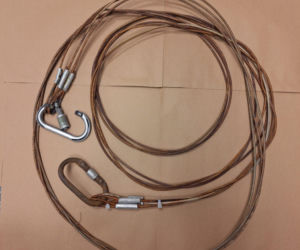 Bestialstwo pod Oławą. Ktoś przywiązał psa stalową linką i zostawił na pewną śmierć