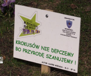 Krokusowy weekend w Szczecinie