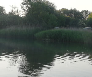 Samochód wykąpał się na Bagrach - i to dosłownie!