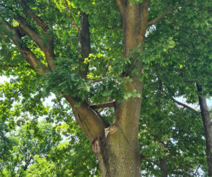 Sokołów Małopolski: Nie żyje Mateusz. Wzruszające pożegnanie na miejscu tragedii [ZDJĘCIA]