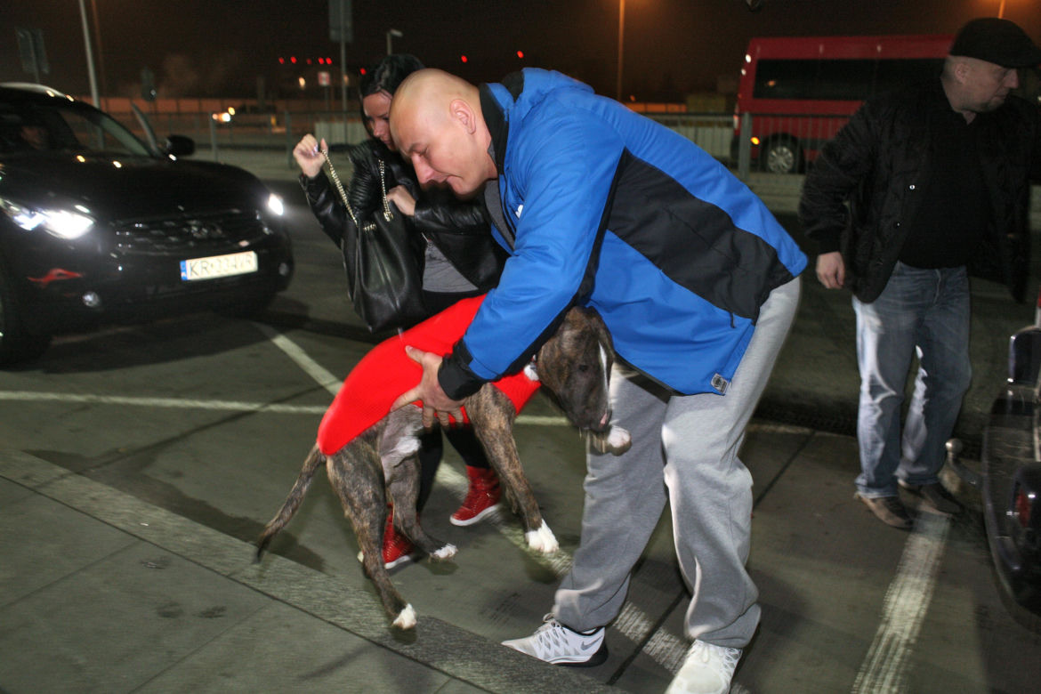 Artur Szpilka i Cycu
