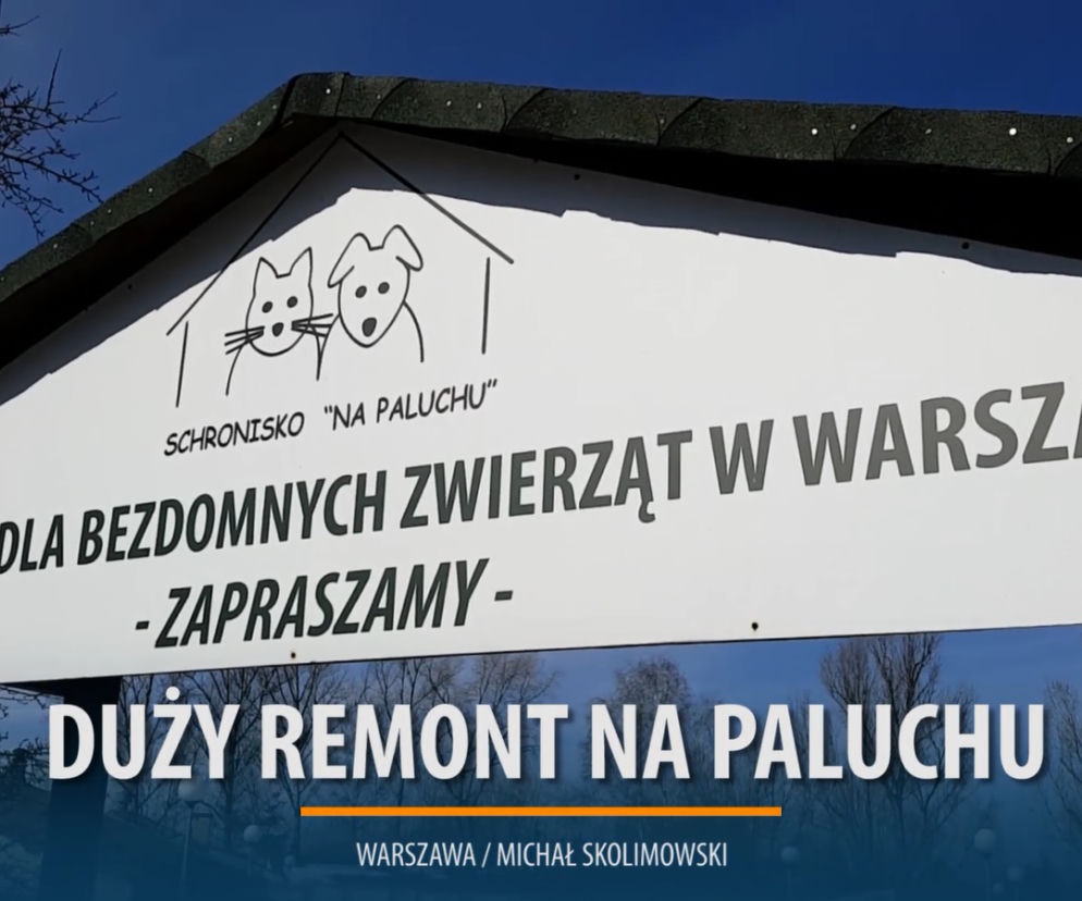 Szykują się naprawdę spore zmiany w schronisku