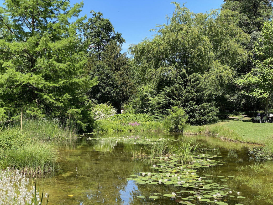 Ogród naturalny