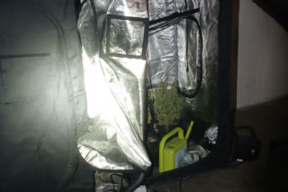 Kilogramy narkotyków i specjalistyczna uprawa