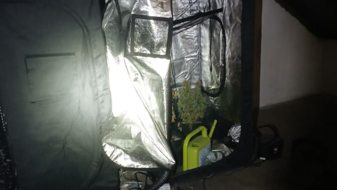 Kilogramy narkotyków i specjalistyczna uprawa