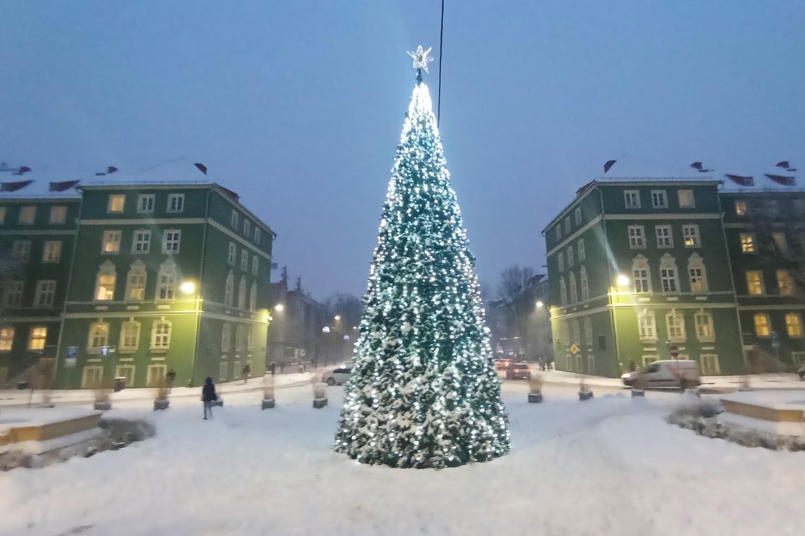 Miejska choinka przed urzędem miasta