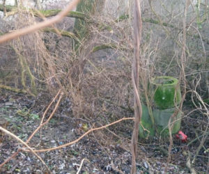 Nielegalne odprowadzanie ścieków