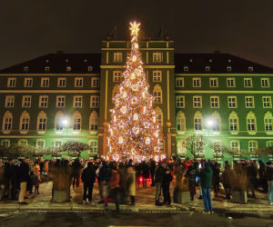 Kosztowna ale efektowna. Nowa choinka przed szczecińskim magistratem rozbłysła tysiącami światełek