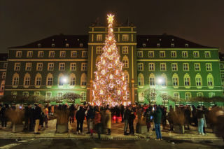 Kosztowna ale efektowna. Nowa choinka przed szczecińskim magistratem rozbłysła tysiącami światełek