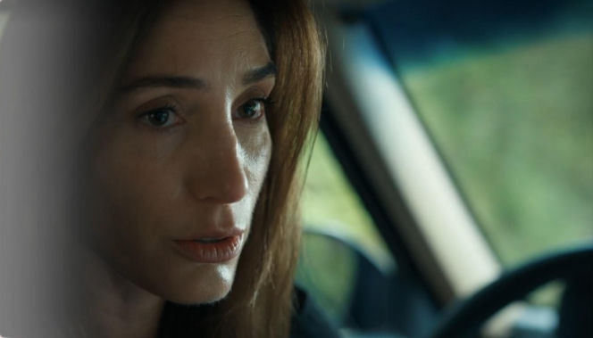 Barwy szczęścia, odc. 3317. Celina (Orina Krajewska)