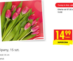 promocja walentynkowa w Biedronce 
