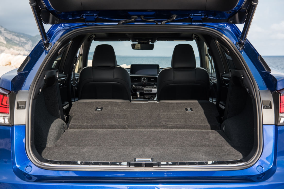 Lexus RX 300 lifting 2020